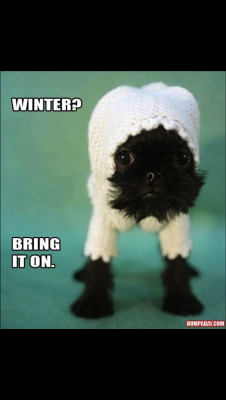 Da futtere ich mir doch lieber einen Winterspeck für die kalte Jahreszeit an! Da futtere ich mir doch lieber einen Winterspeck für die kalte Jahreszeit an!